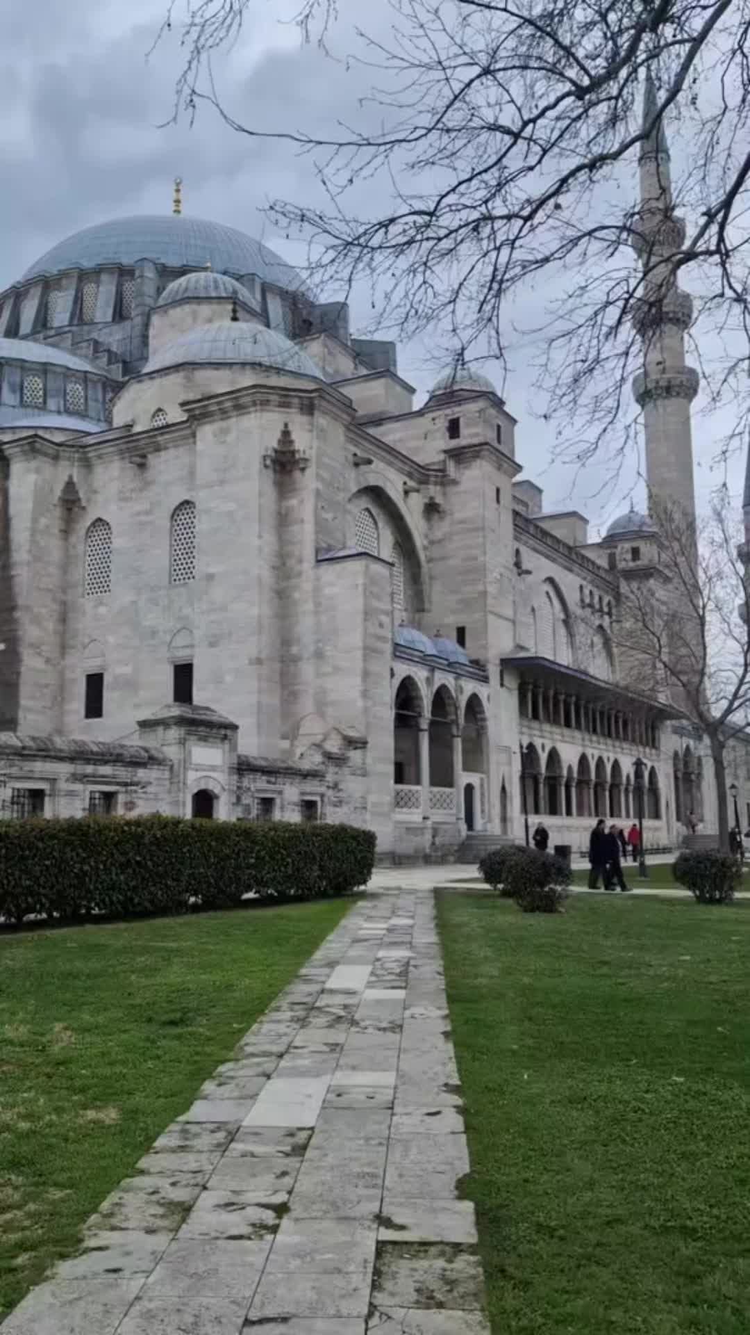 @Dina_