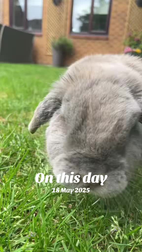 @BunnyAli