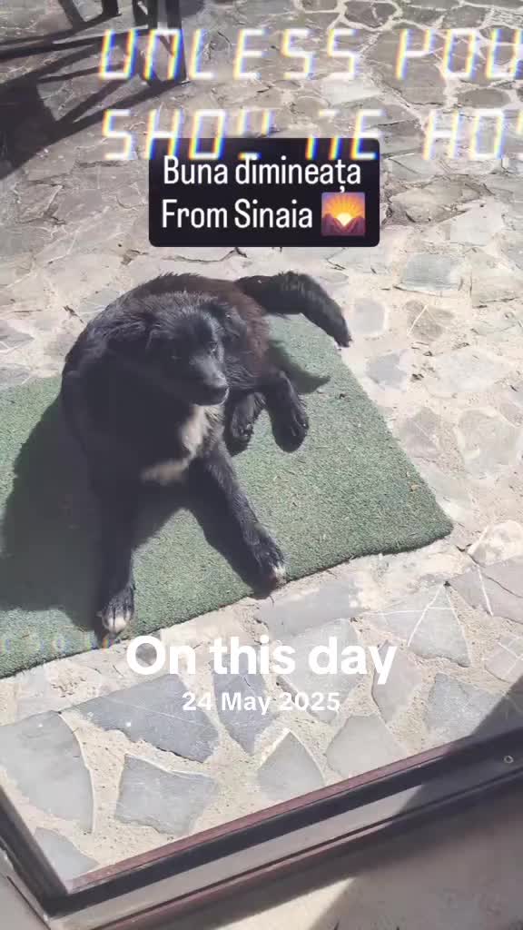 @🥇🏆Shane_travels8🥇🧳