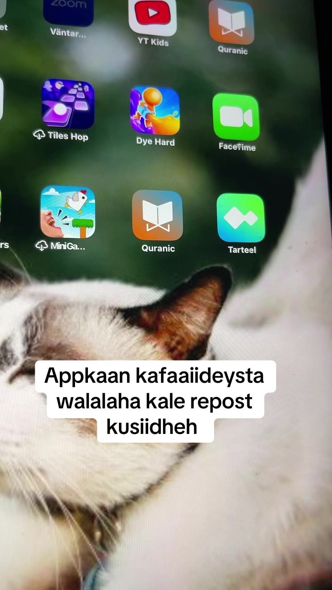@InaCaliCanshuur👑📚