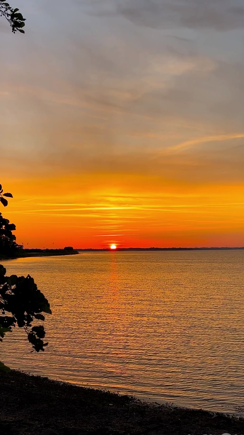 @dk__nature 🇩🇰