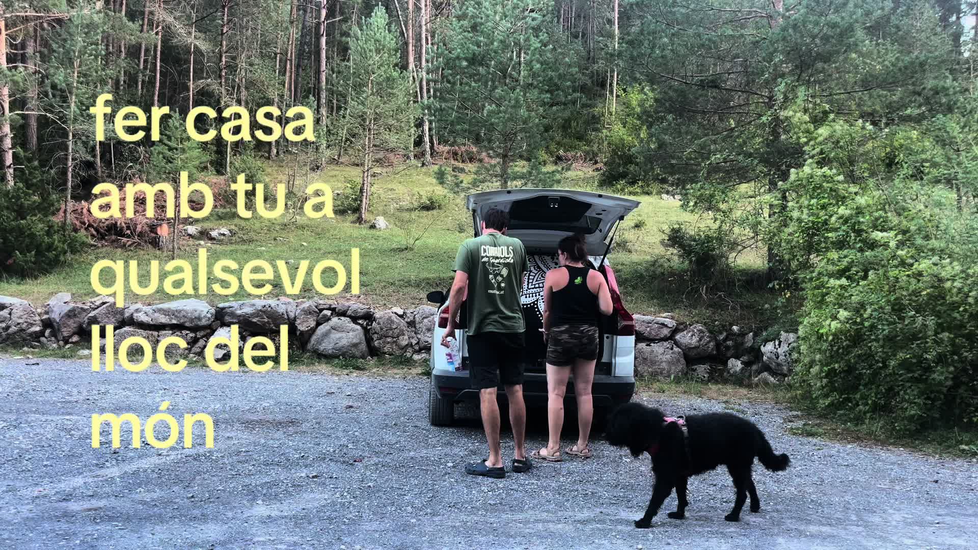 @gemm sol