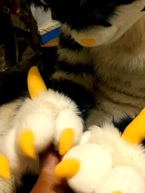 @radywolf