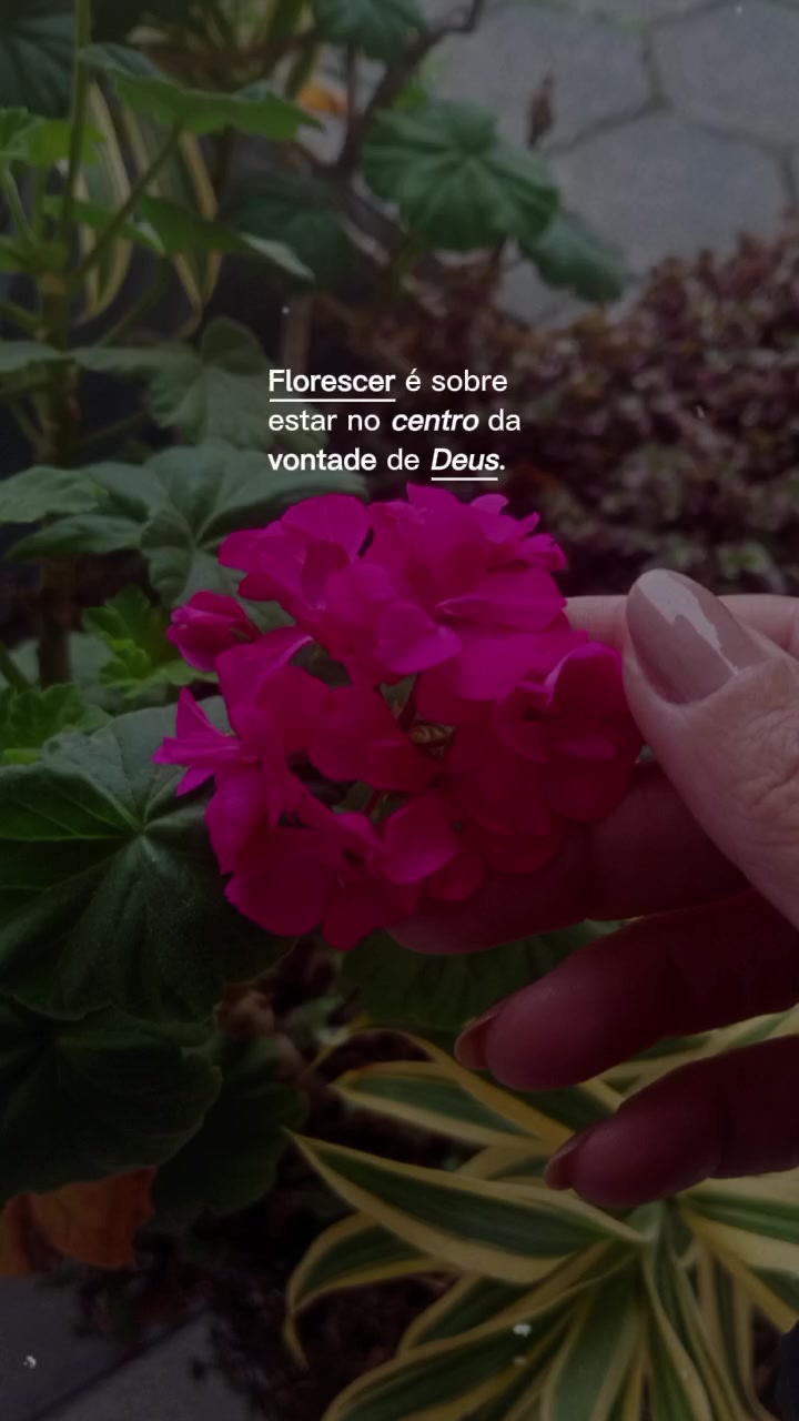 @Giovana Duarte✨