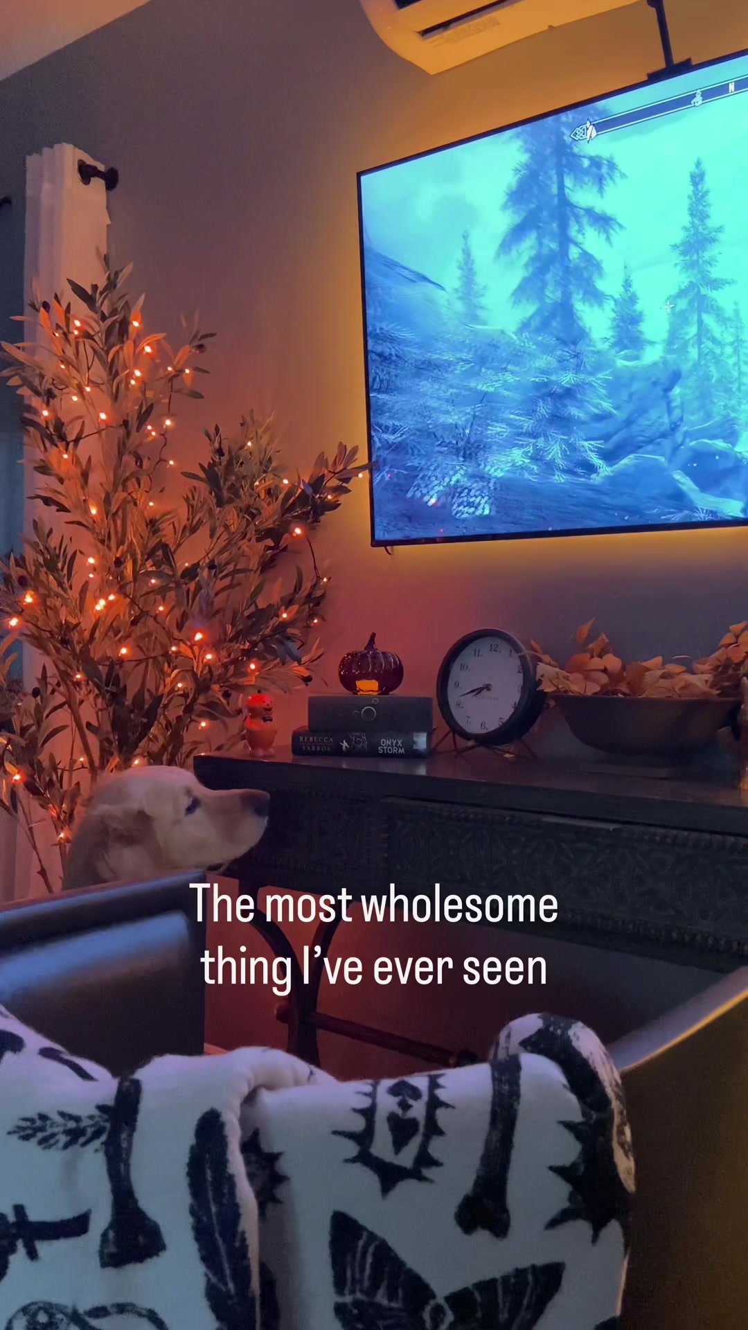 @Bruce Wayne