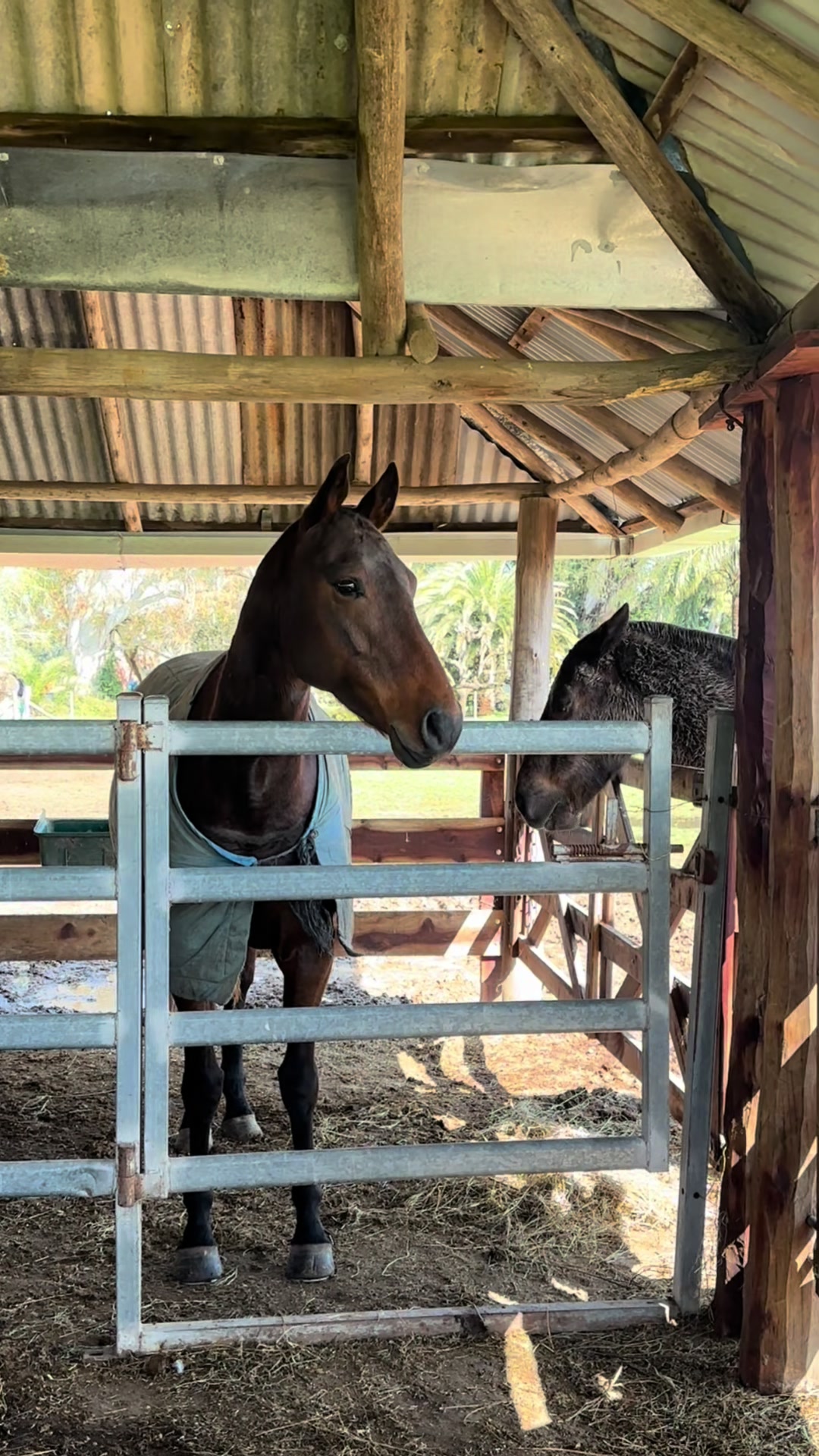 @Hartfield Homestead