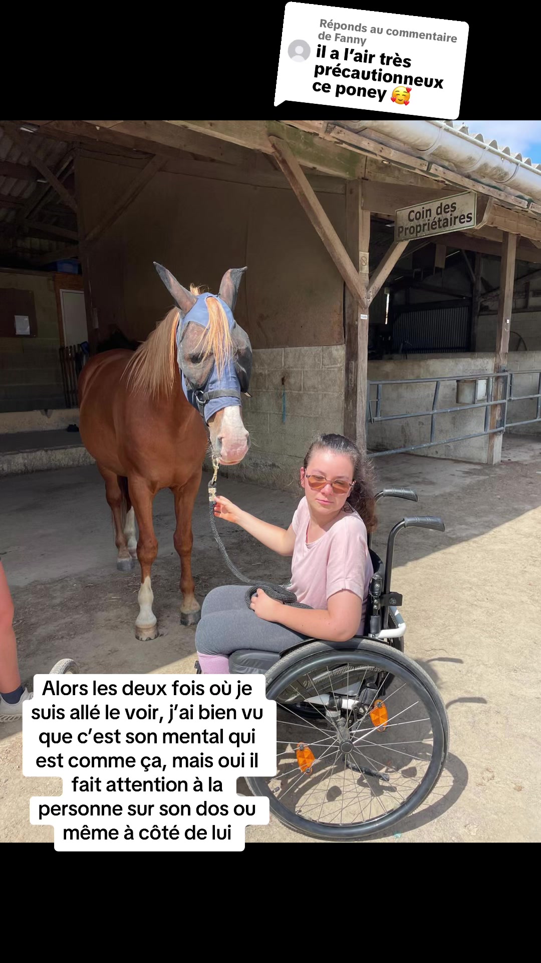 @Emmaparadressage
