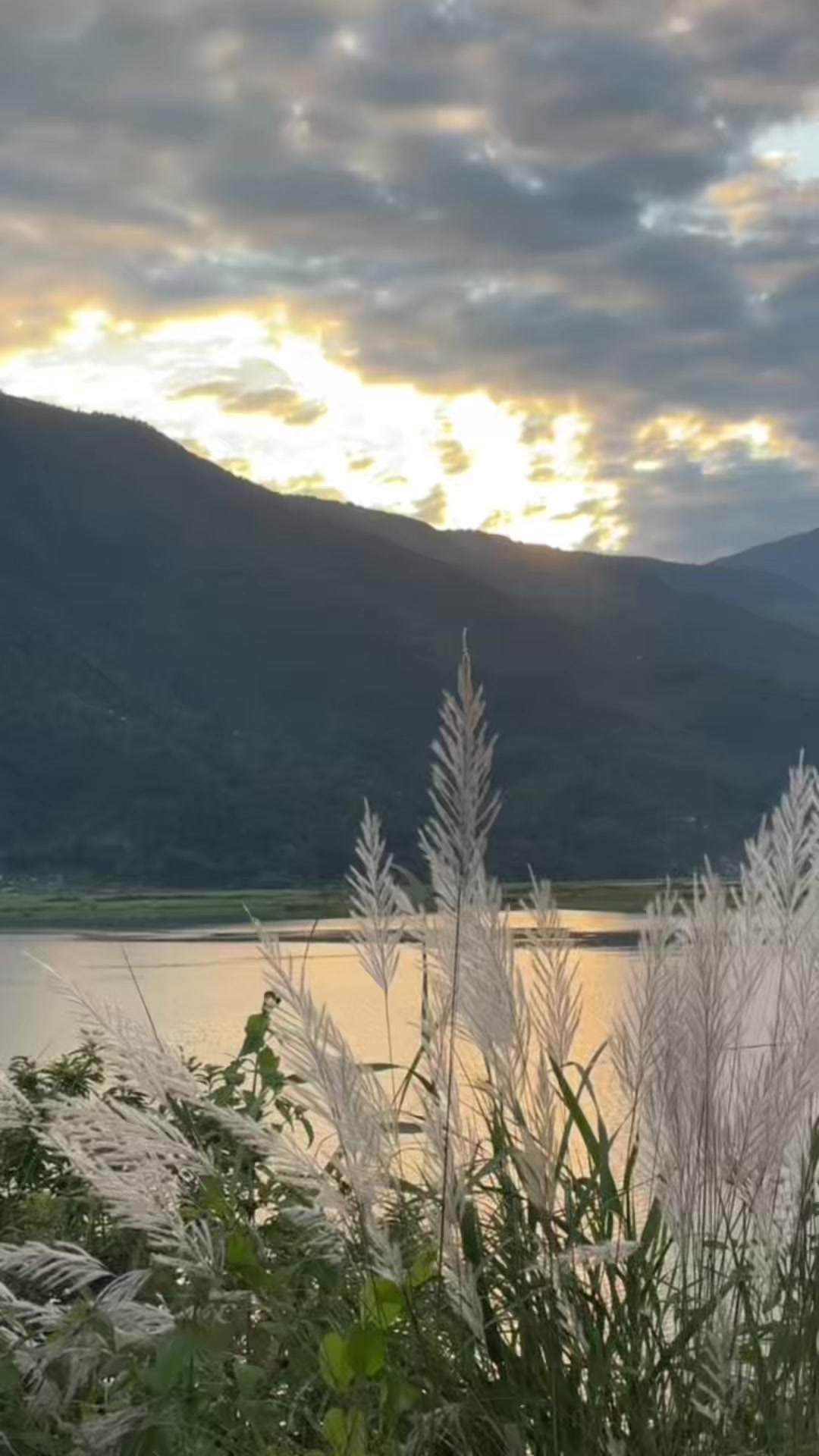 @ashmitachhetri82