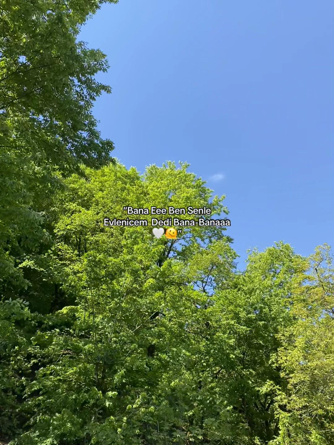 @𝐅𝐚𝐦𝐢𝐥❤️&zwj;🩹🩹