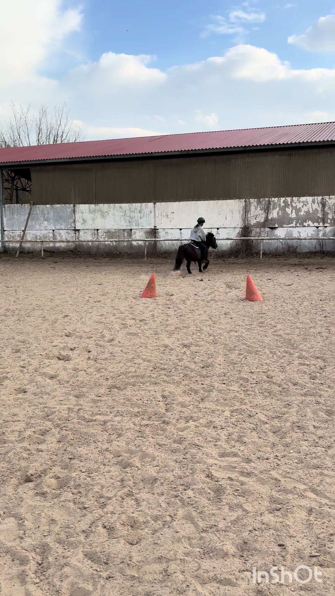 @l.equestrian🪽