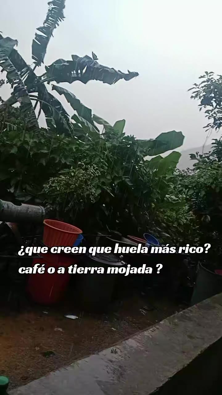 @merss
