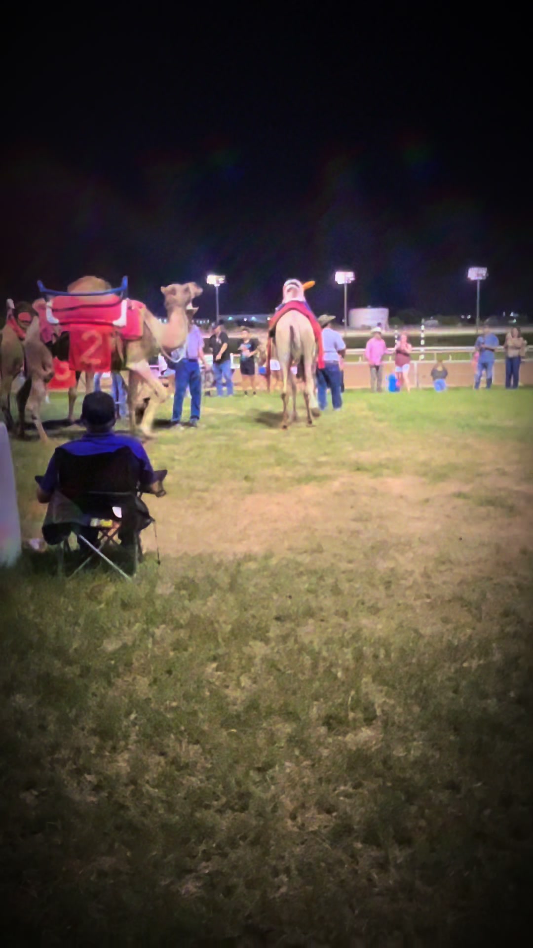 @JM Performance Horses