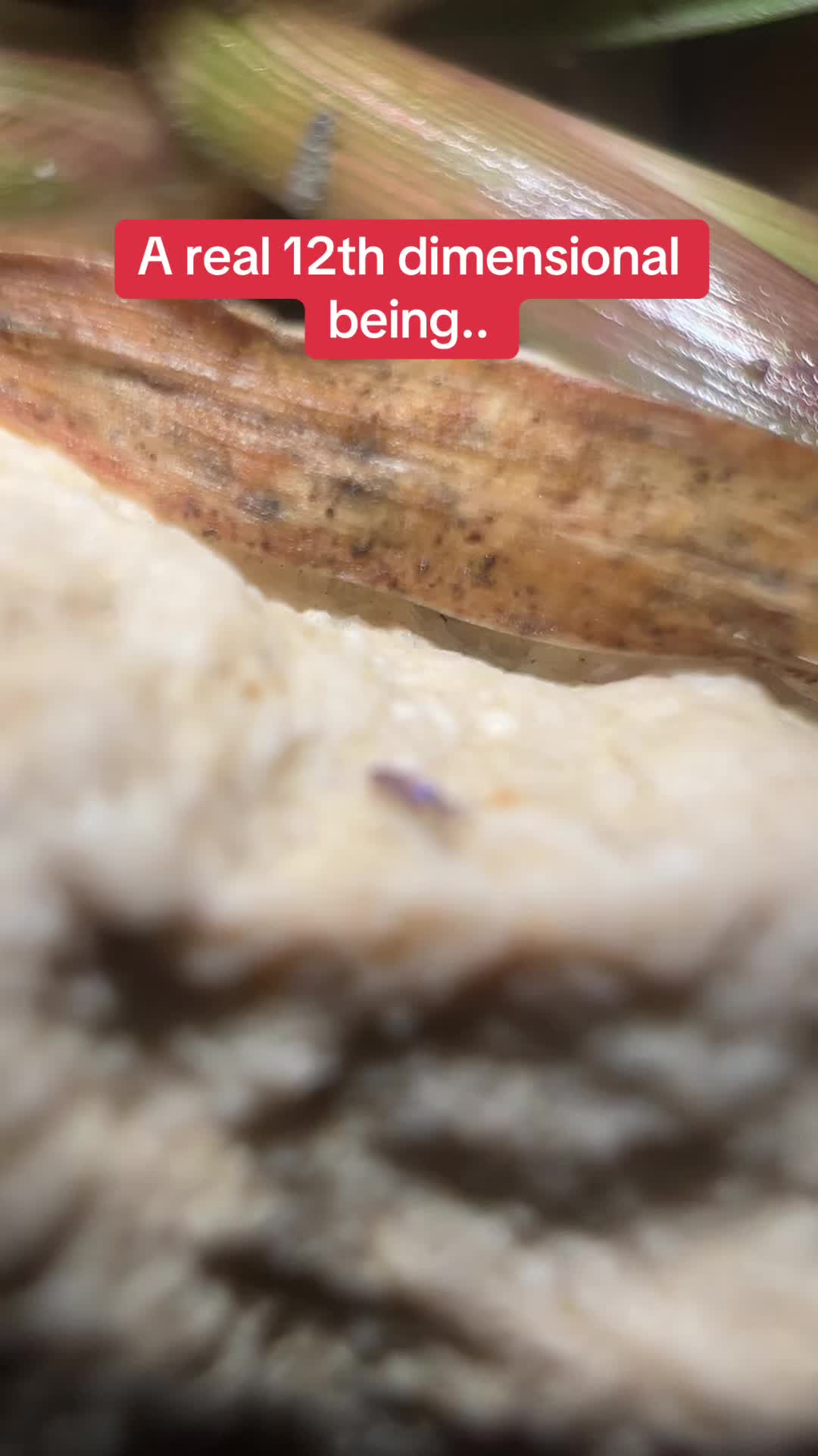 @l_u_c_e_r_o_117