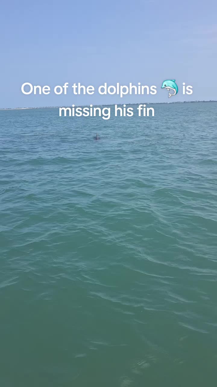 @Rollingthroughrv