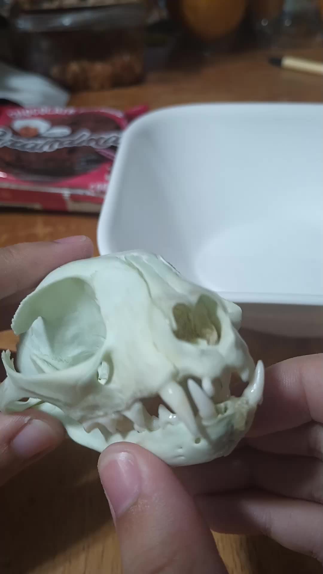 @emoc11