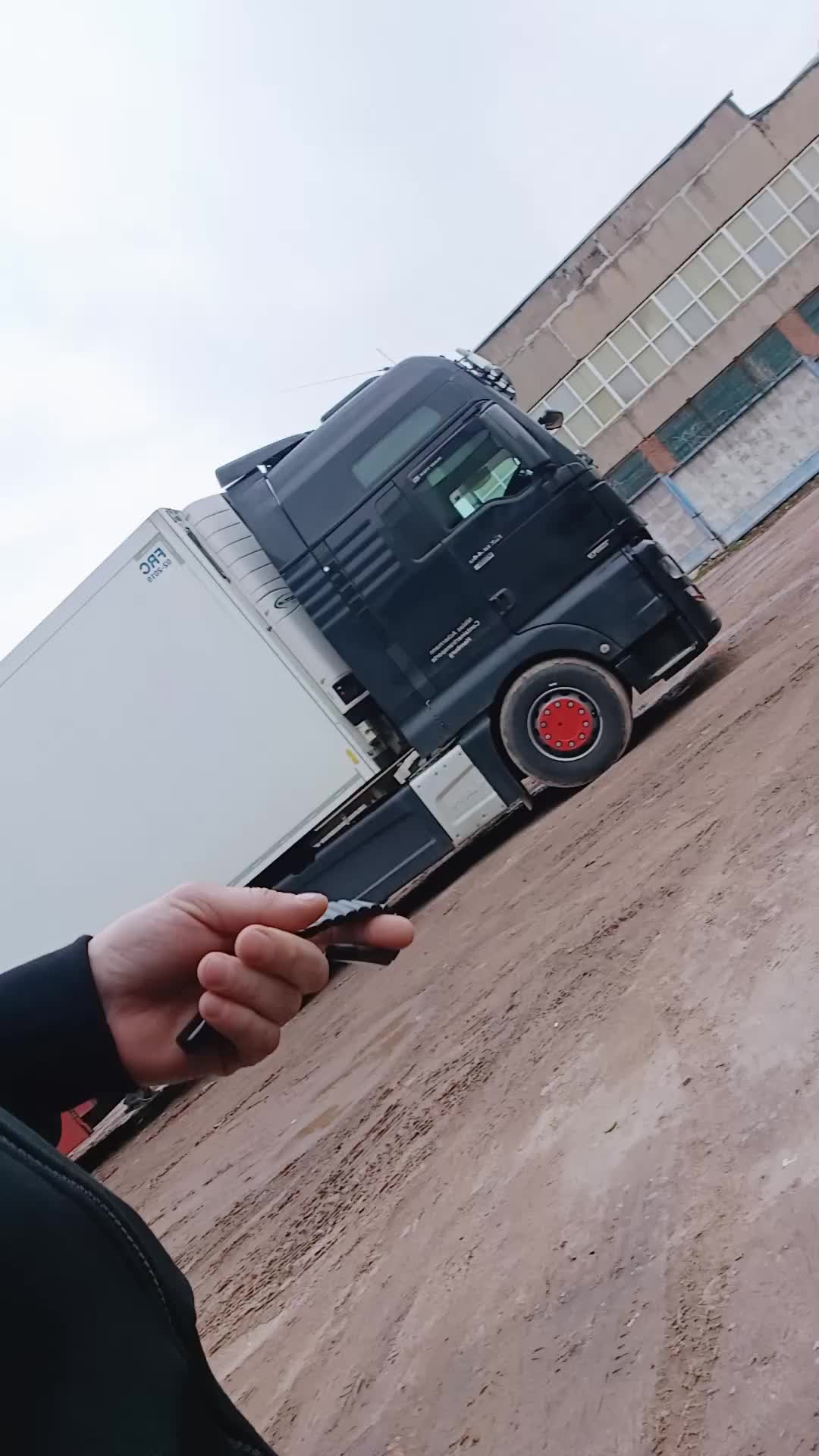 @Black_lion