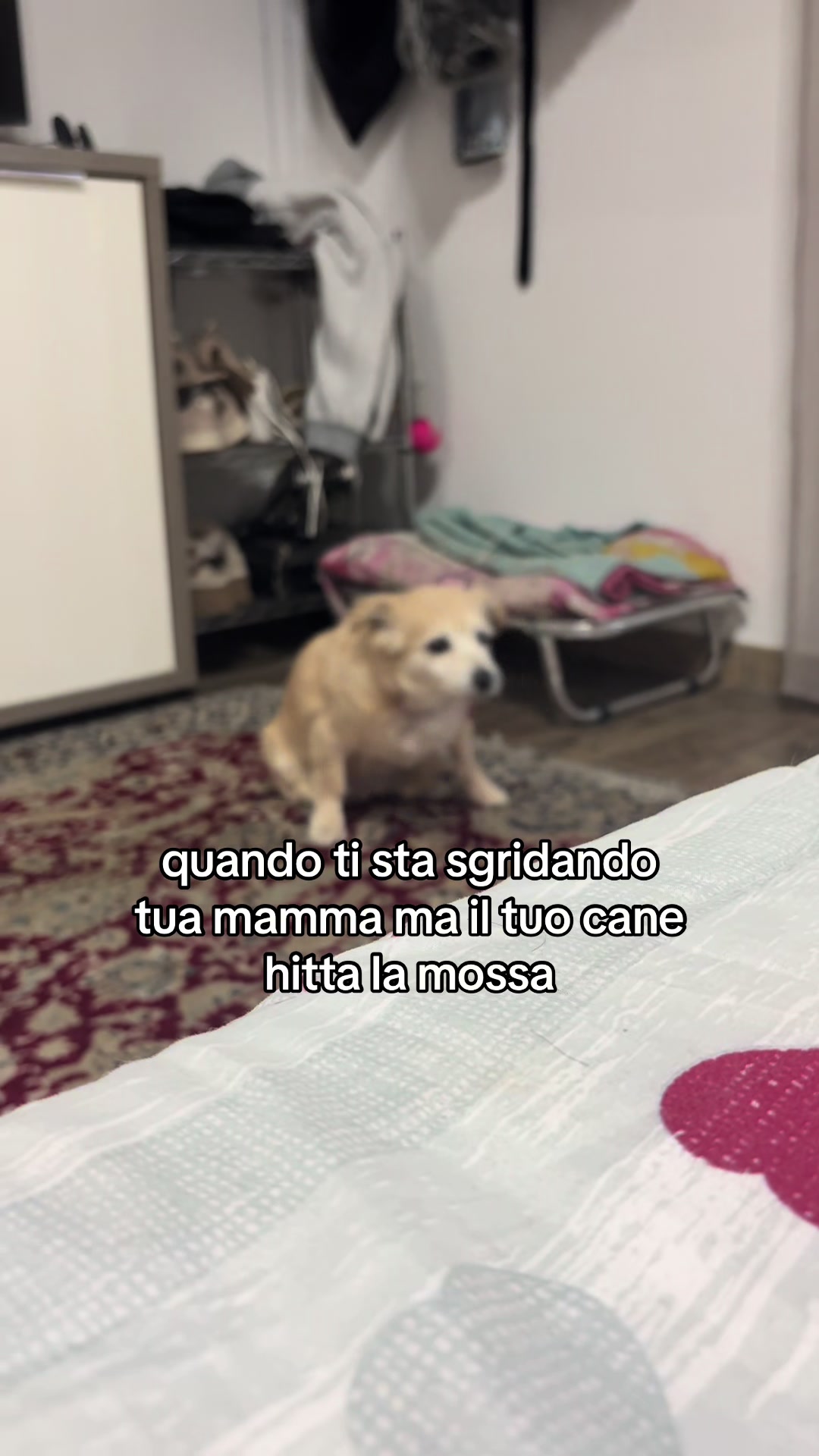 @tellmeile