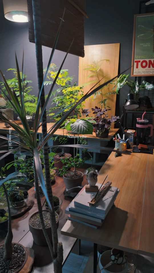 @Bảo tàng lá