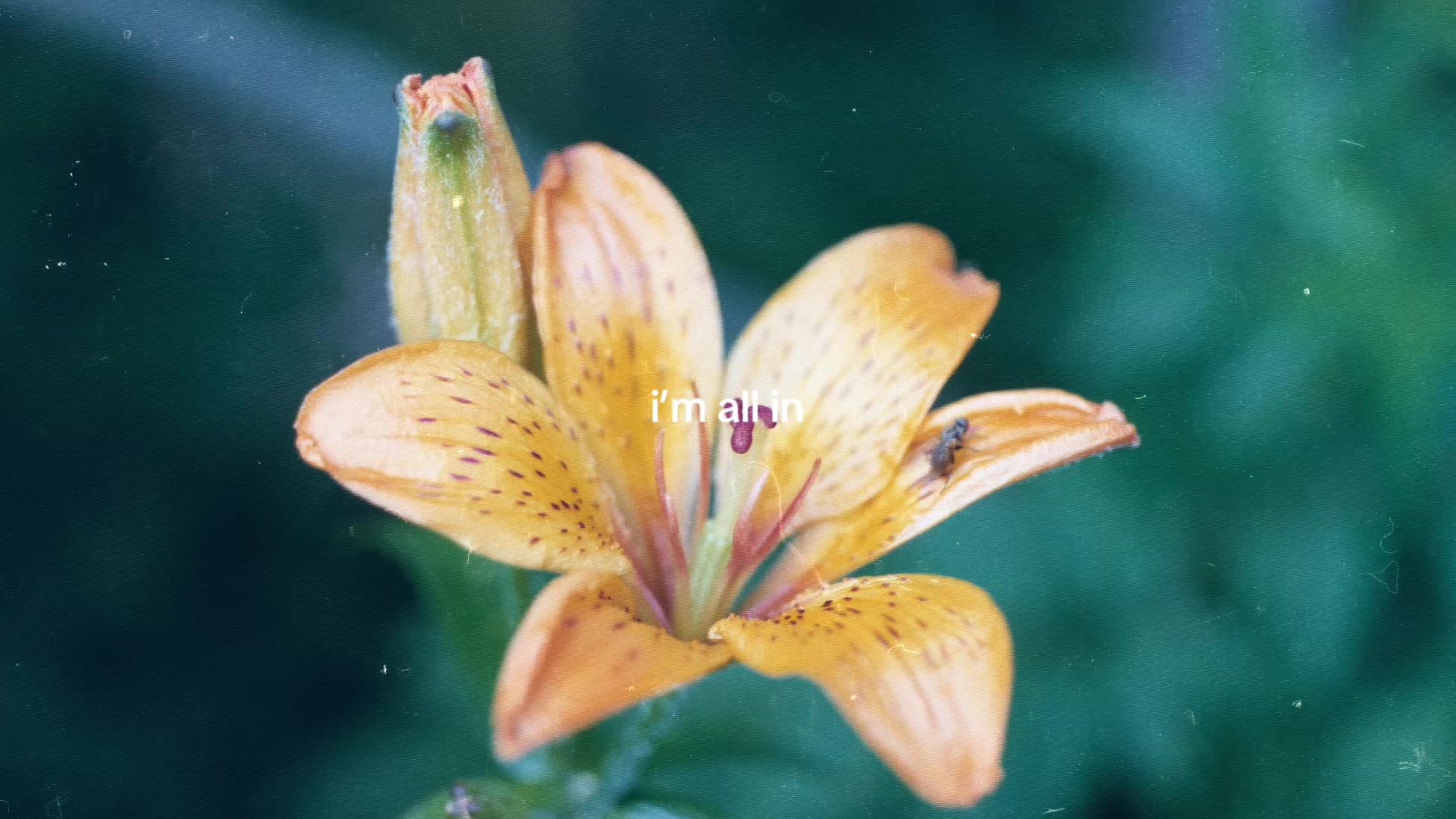 @theyearning.archive