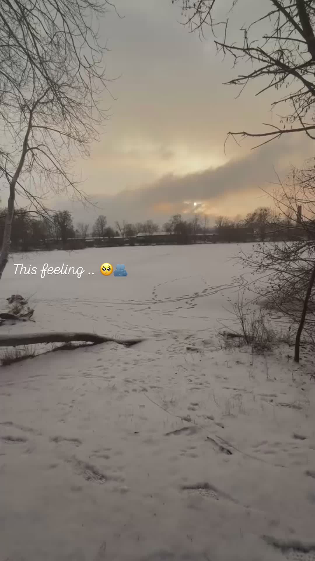 @𝓛𝓔𝓔𝓐🤍