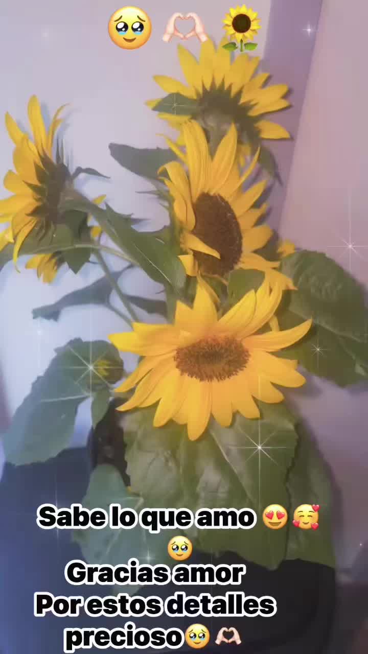 @𝓣𝓮𝓻𝓮 𝓐𝓵𝓿𝓪𝓻𝓮𝔃29🌼