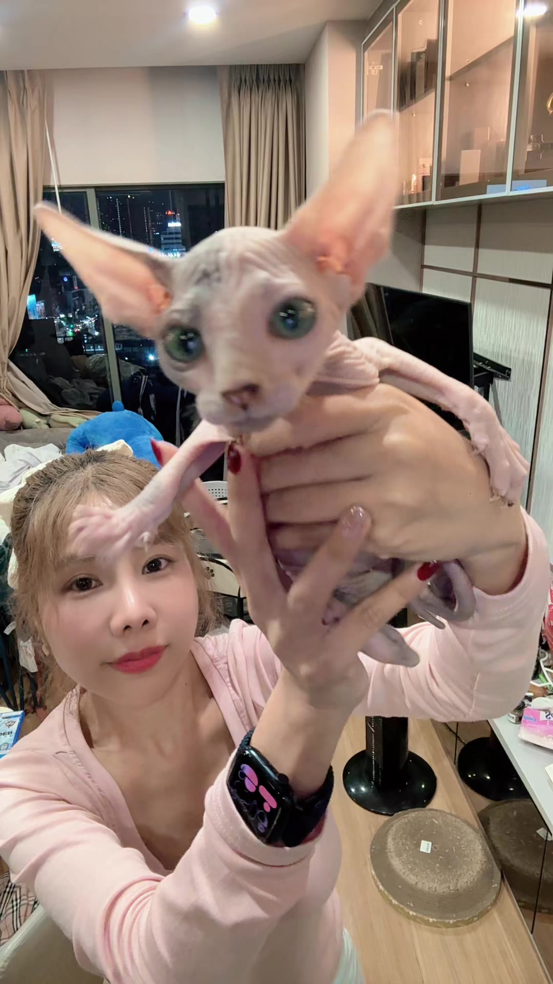 @Djpingping