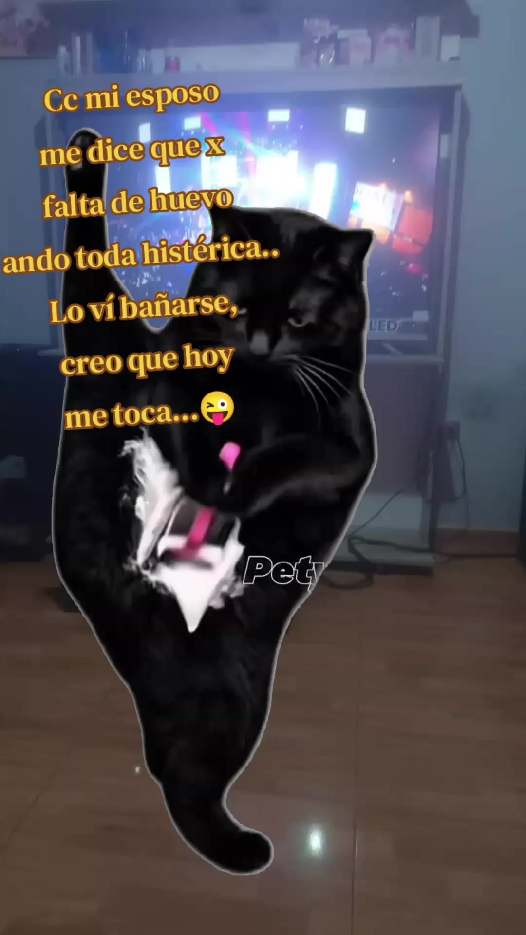 @Lily