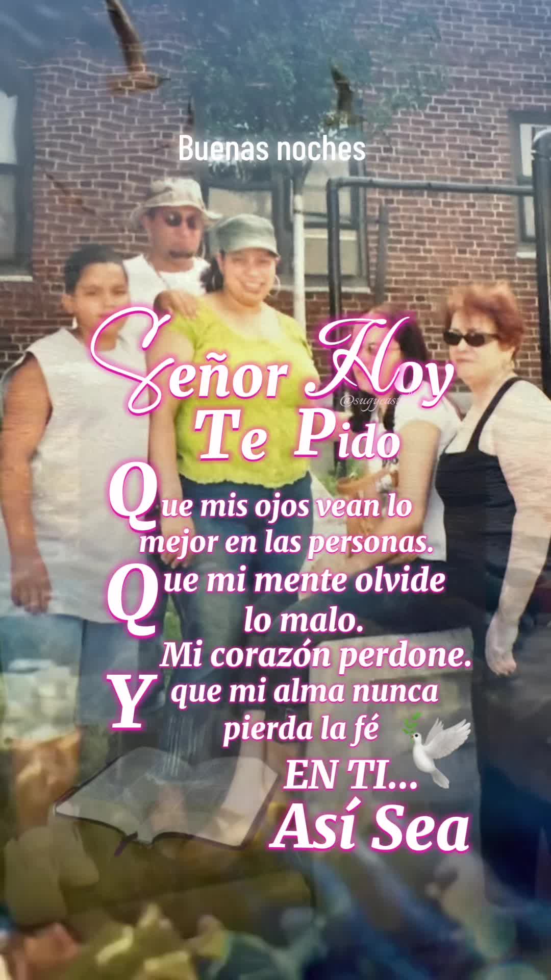 @carolicorniel6