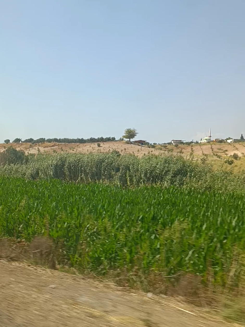 @zemzem arıcı