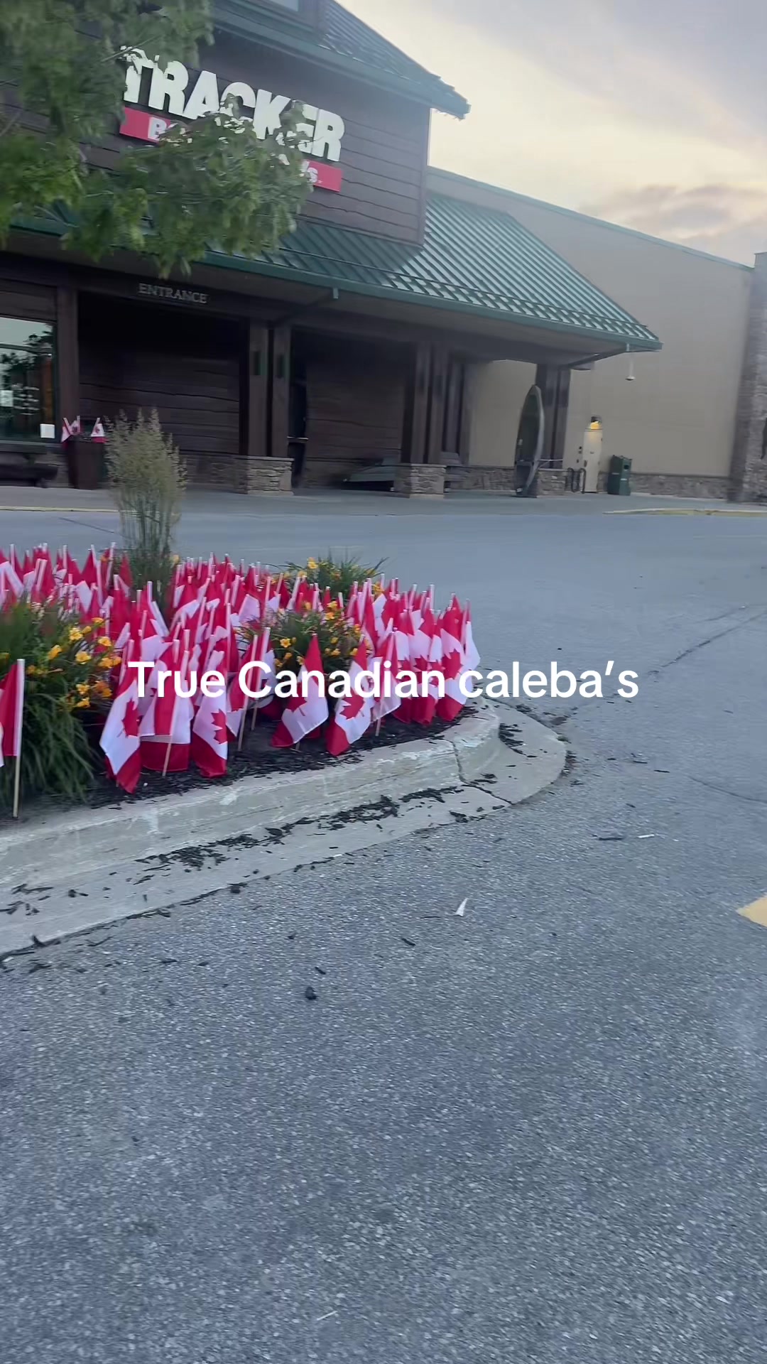 @Sina🇦🇫🇨🇦