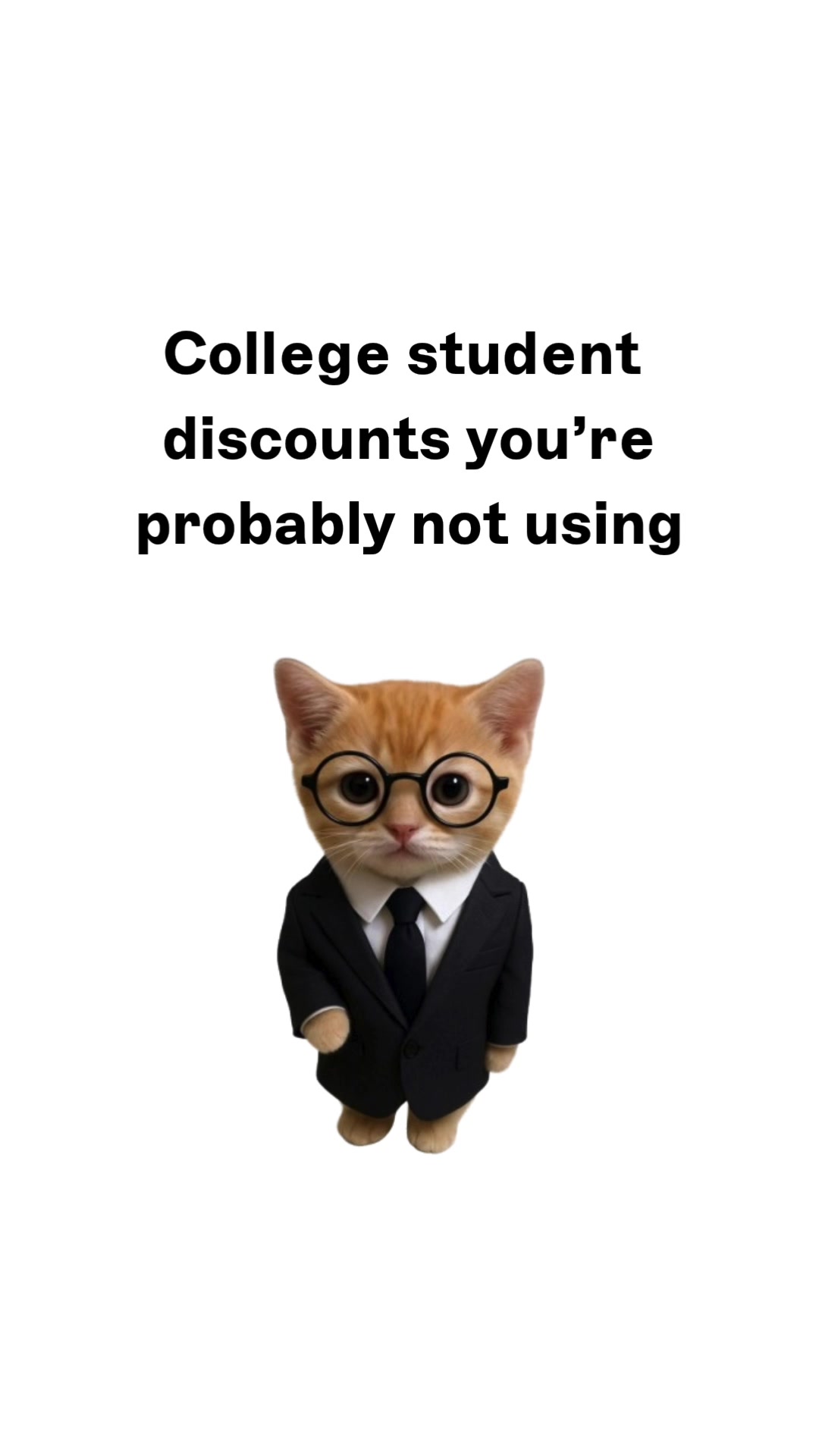 @wallstreetkitty