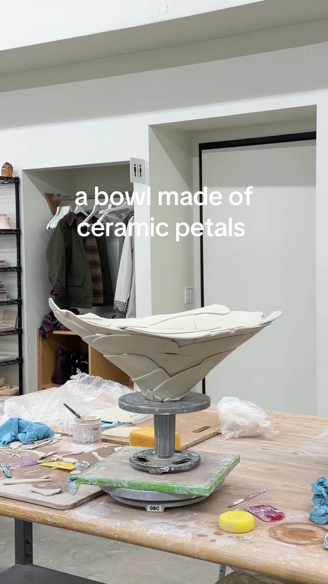 @sasha