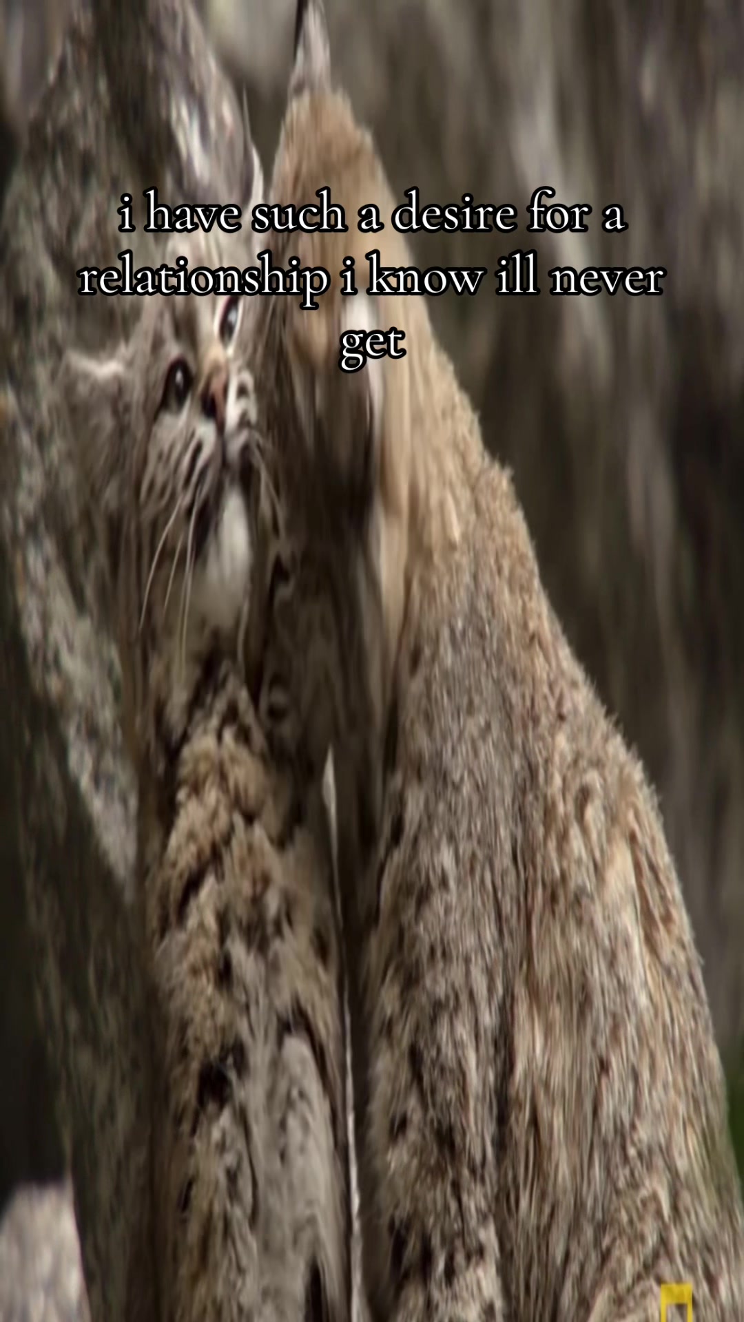 @moidmoder