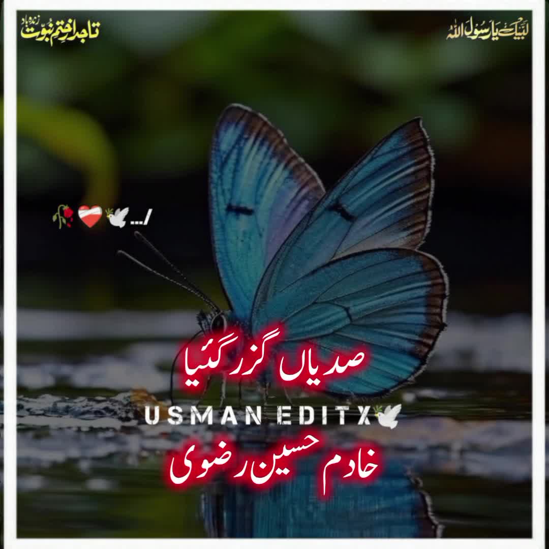 @سلطنت رضویہ 😍😍