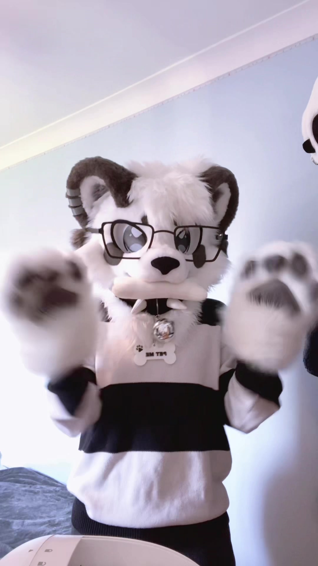 @🎬Lykoi🐾