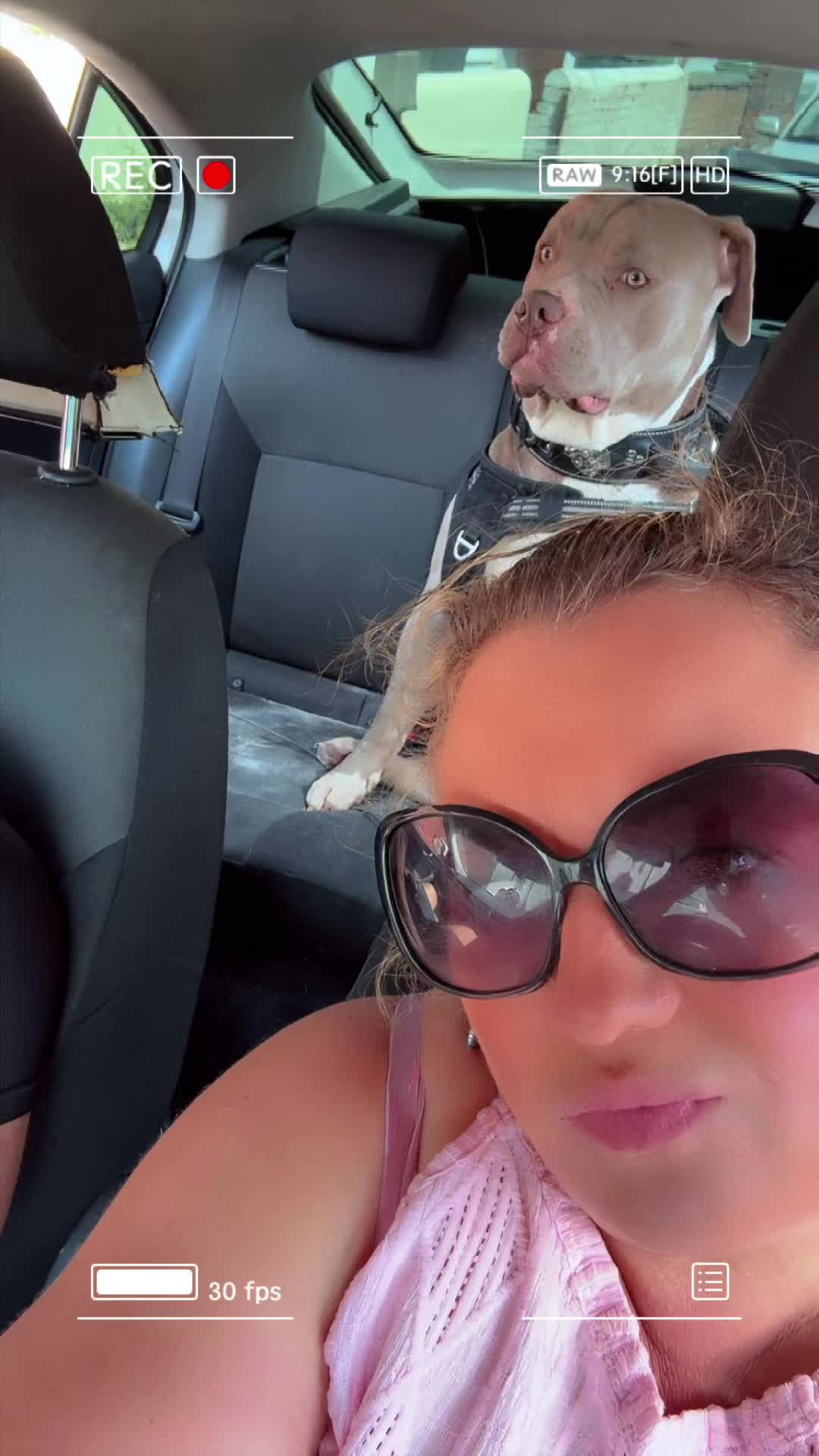 @ellabella7866