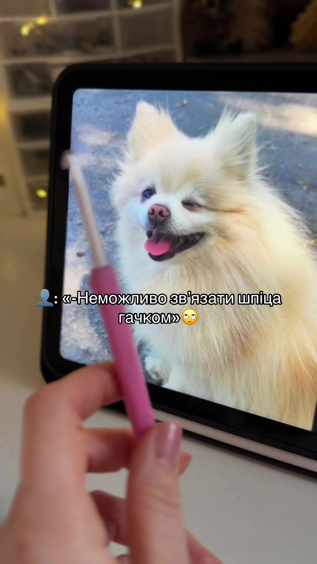 @З вами Даша✌🏻