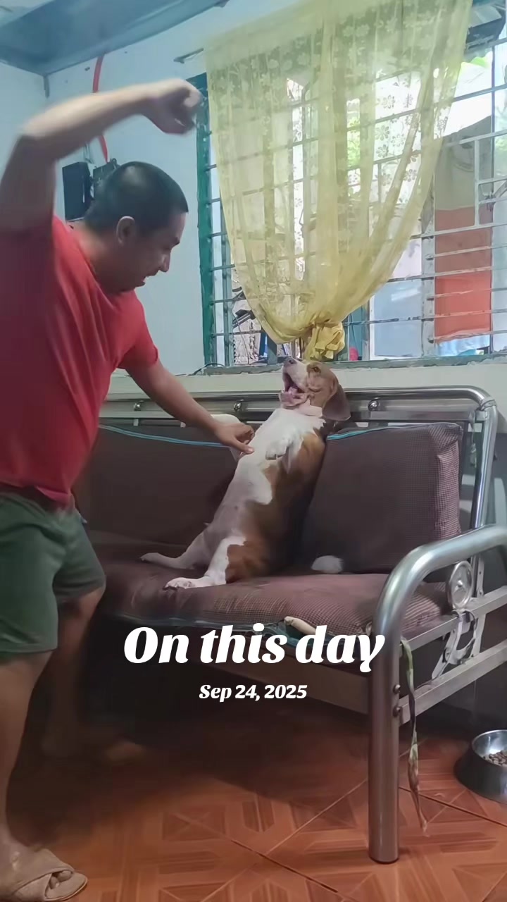@Pawborito