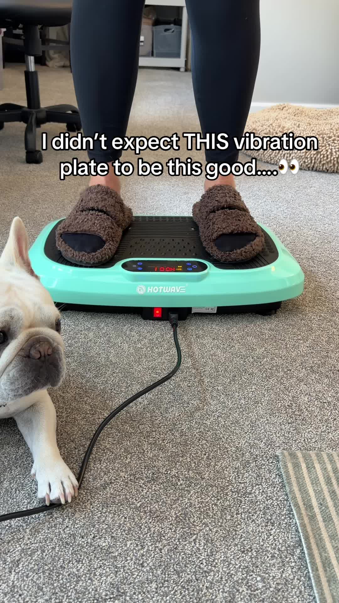 @Bagel the OG Frenchie