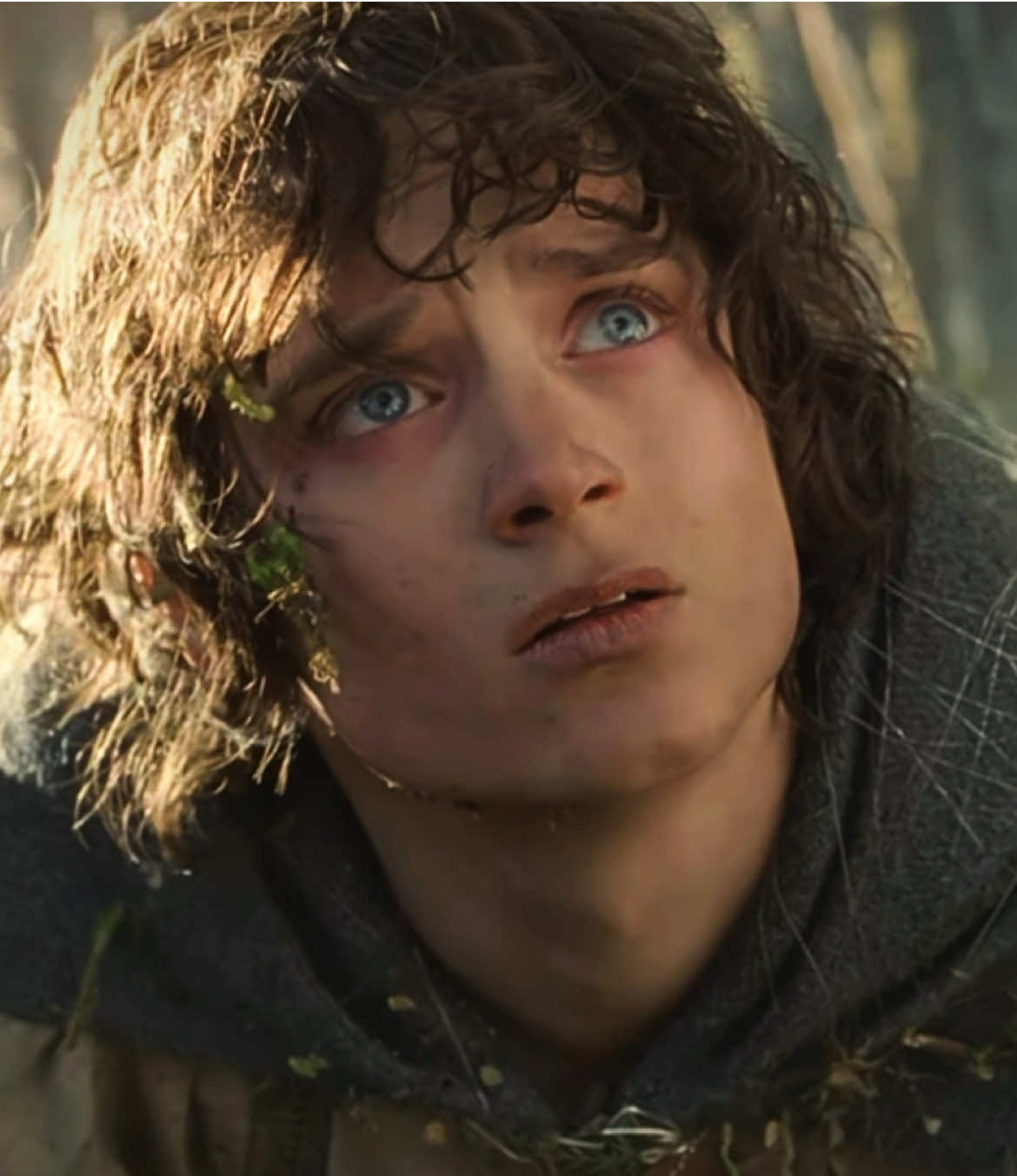 @✨Samwise the brave✨