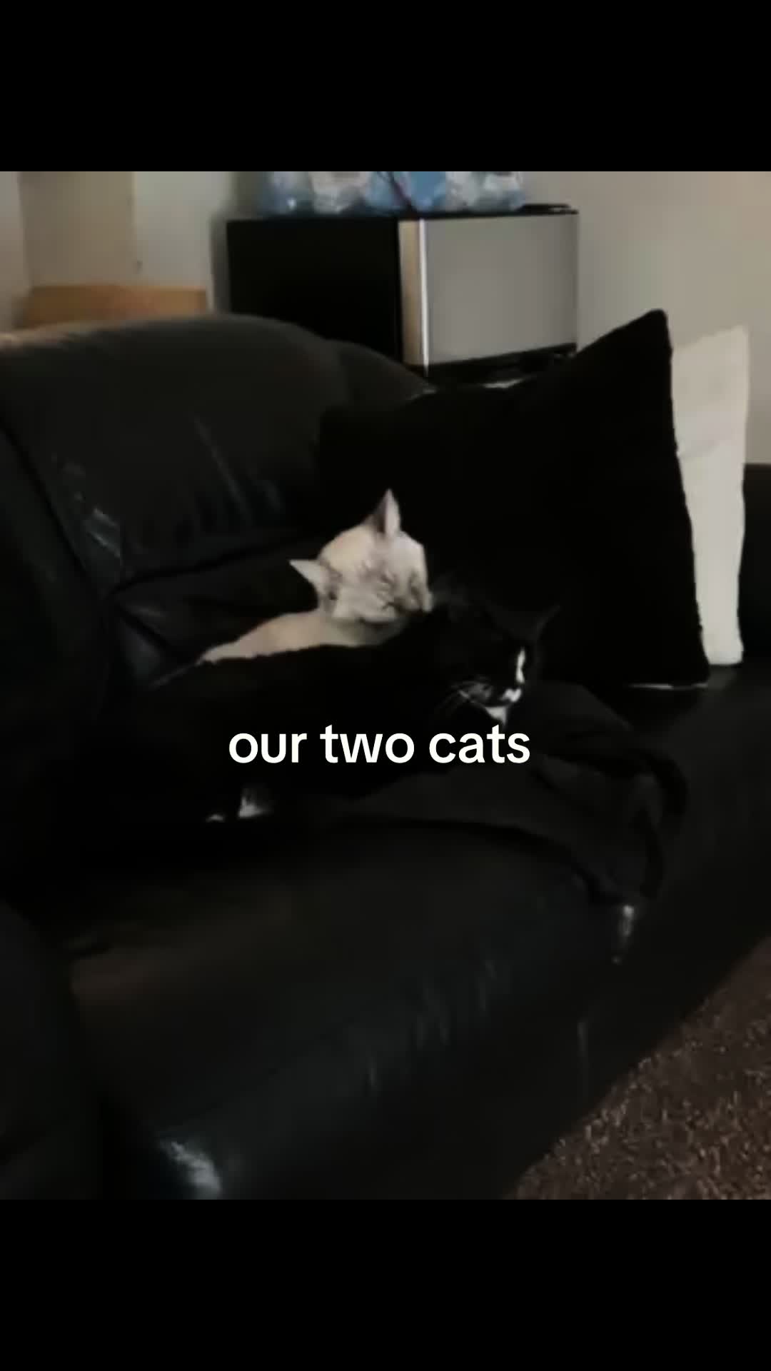 @:)