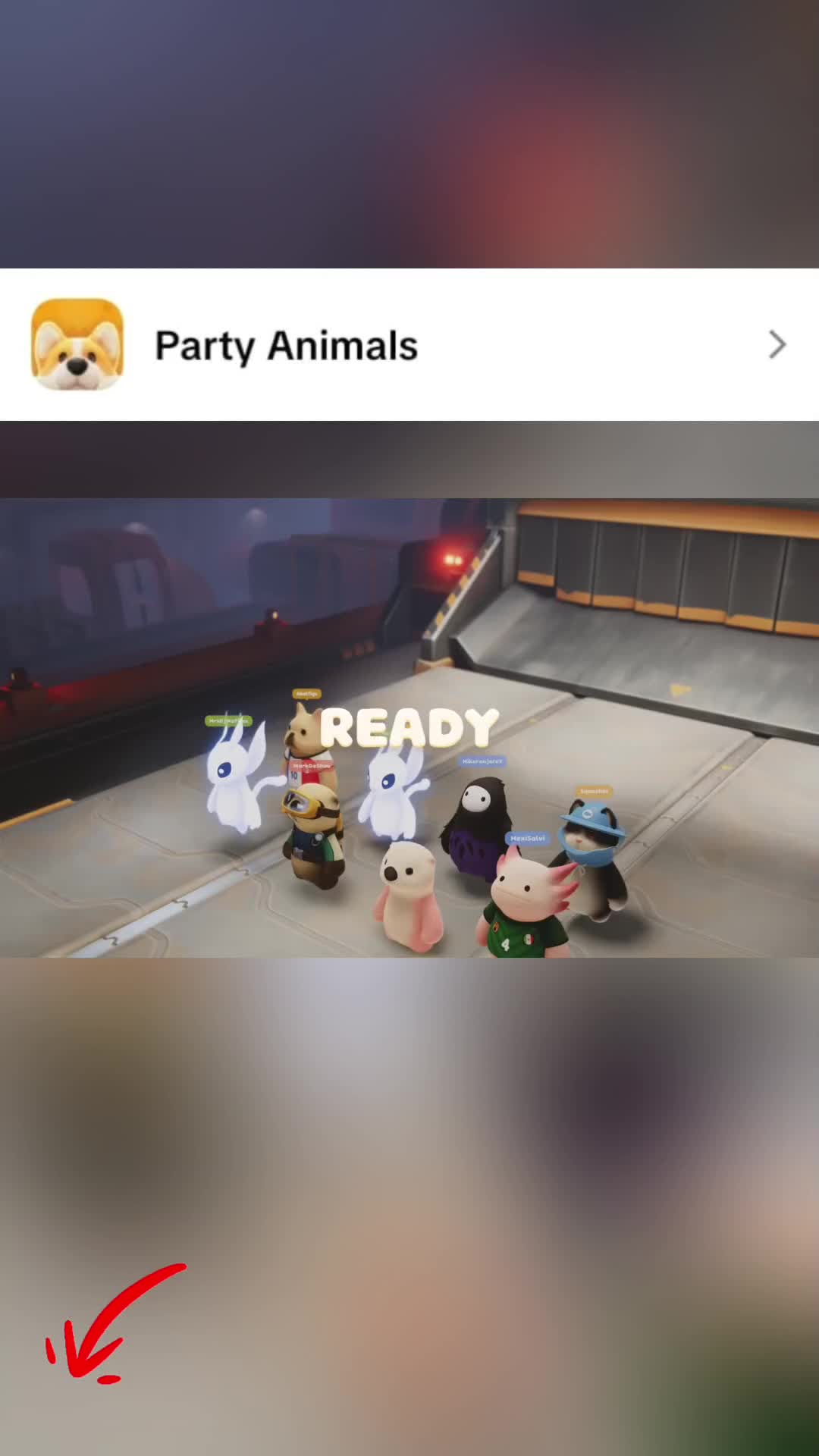 @👑🤍