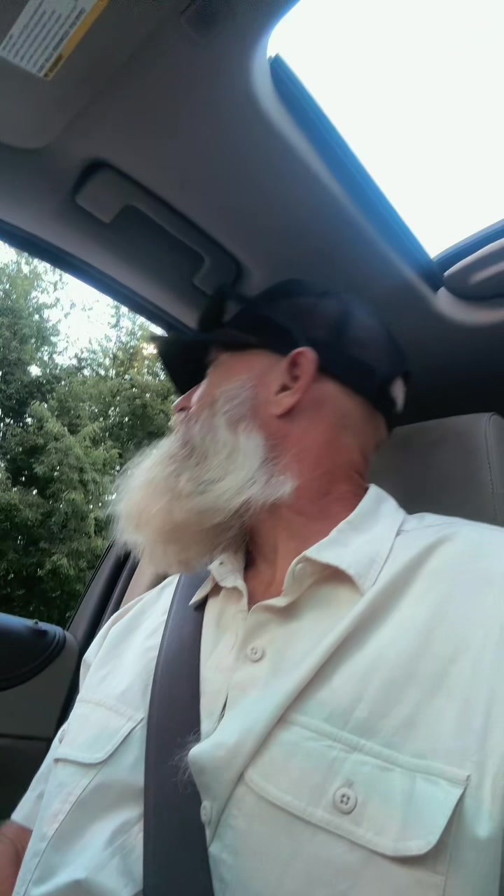 @bearded_bee
