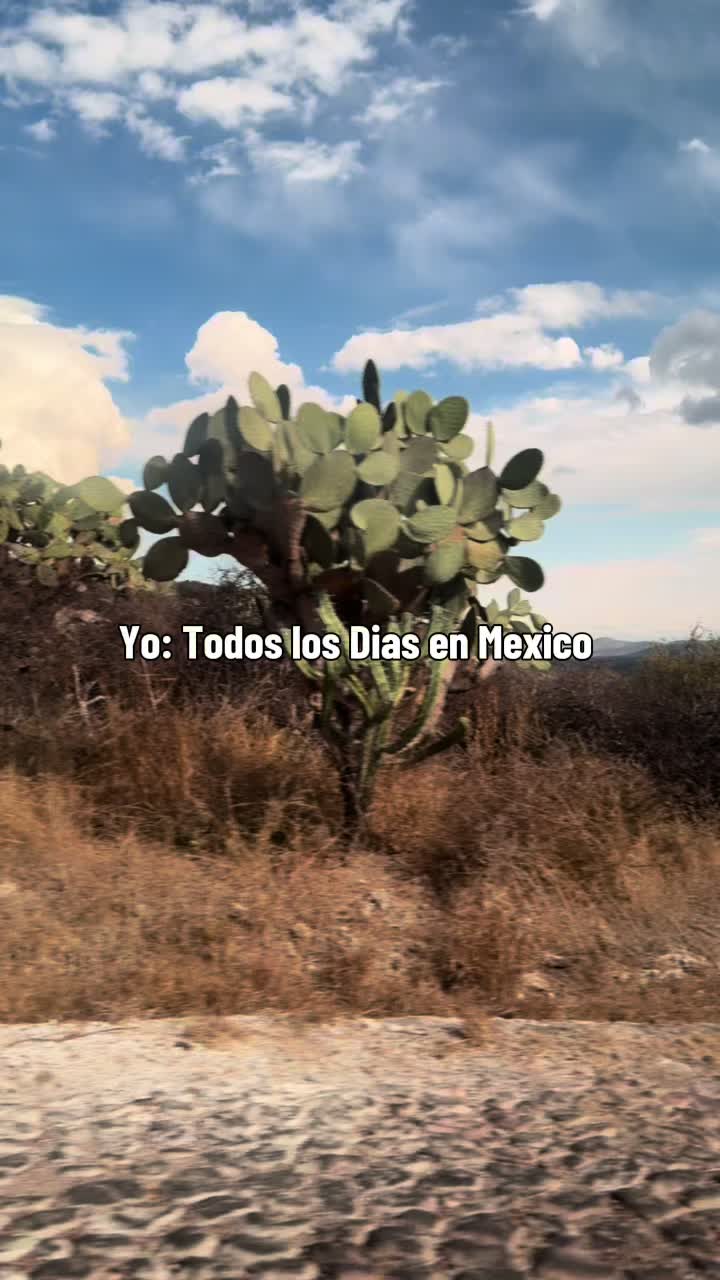 @abychavez4k