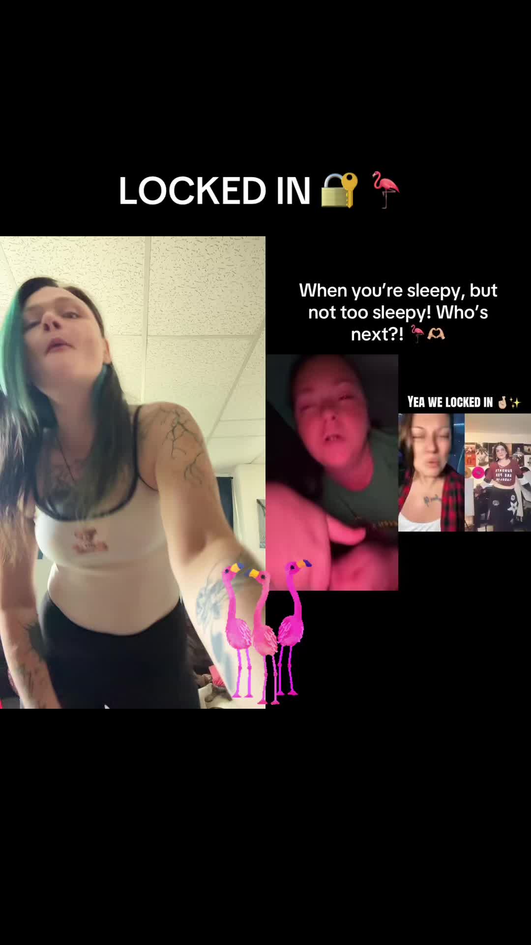 @Bluebeeeemcfly🫐🖤🦩