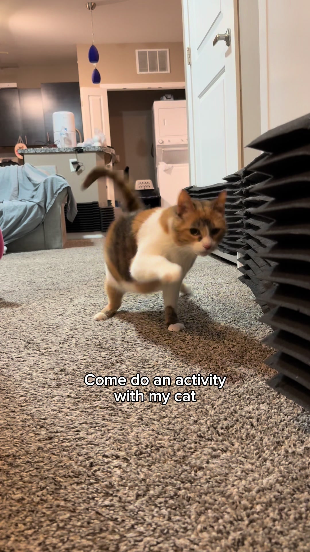 @Ada