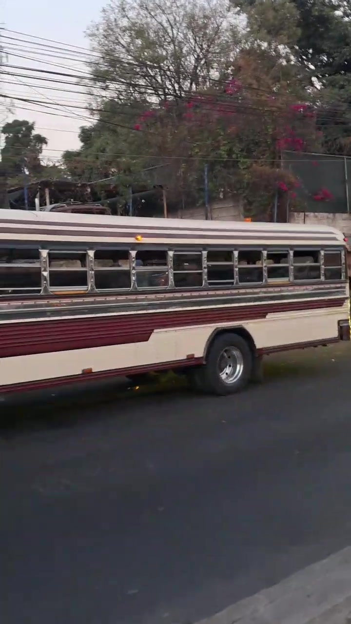 @Busesguatemala oficial 🚍🇬🇹
