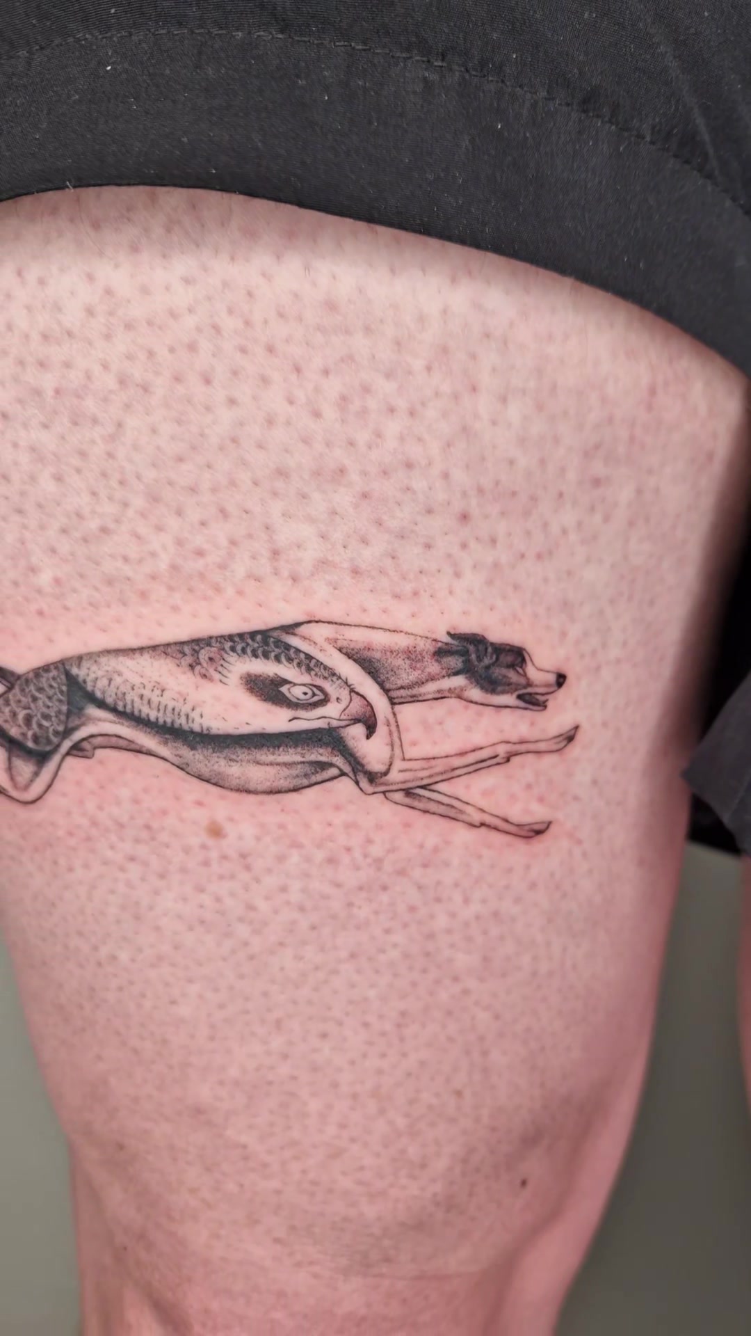 @Single Needle Magic