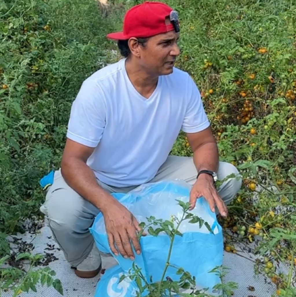 @पारदर्शी खरेल