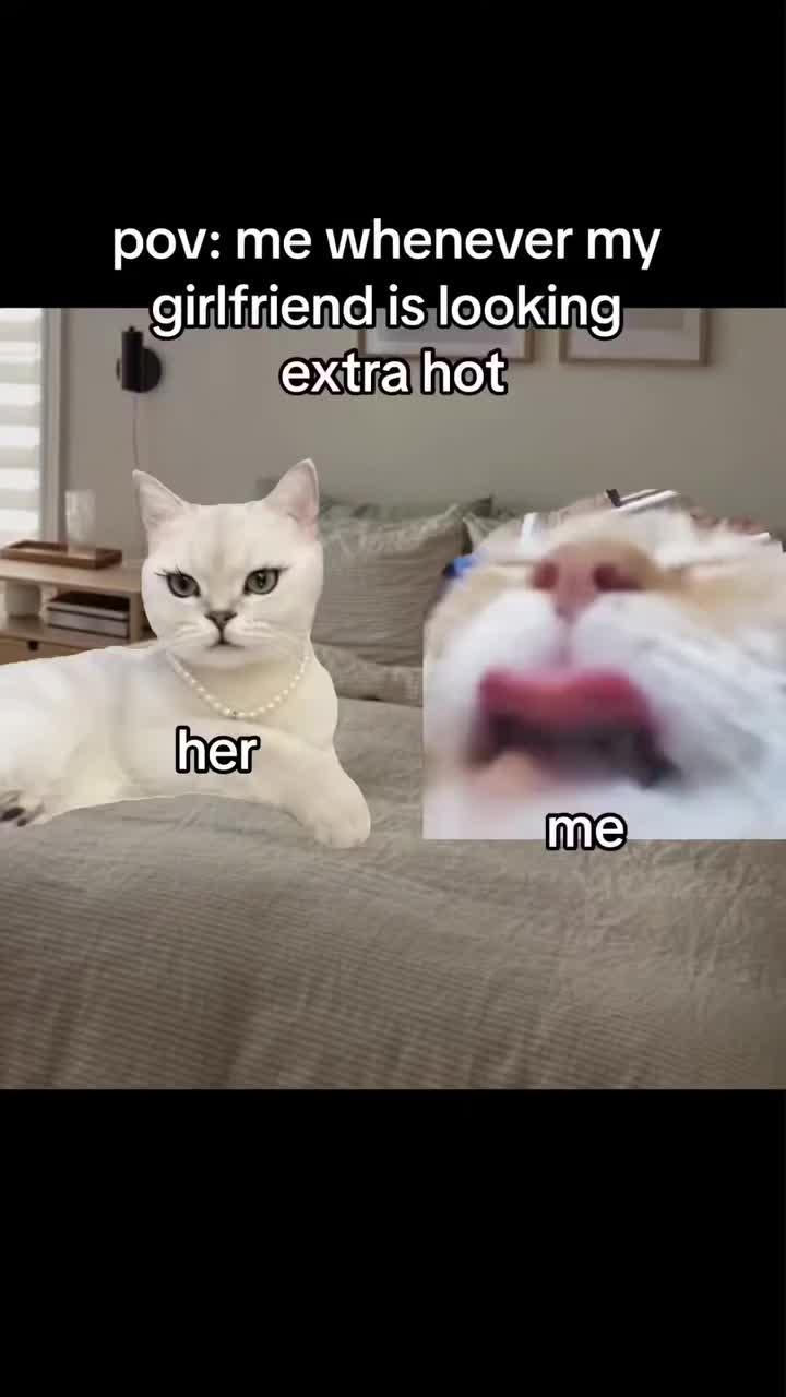 @blake